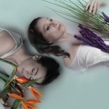 «Ξαφνικά πέρσι το καλοκαίρι» στον Νέο Ακάδημο