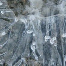 Κατερίνα Κατσιφαράκη: «Η φωνή των πραγμάτων» στο Μουσείο Λαϊκής Τέχνης και Παράδοσης «Αγγελική Χατζημιχάλη»