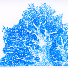 Έλλη Κουτσουκέλλη: «Όνειρο στα δέντρα» στην αίθουσα τέχνης «έκφραση - Γιάννα Γραμματοπούλου»