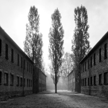 Η έκθεση «Tehom» της Renée Revah στο Μουσείο Μπενάκη