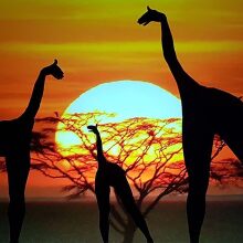 Οι Moving Shadows στον «Ελληνικό Κόσμο»