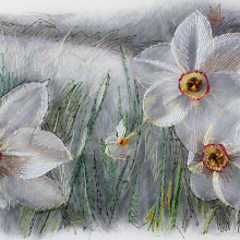 Κωνσταντίνα Συλίκου: «Διάφανοι κήποι» στην genesis gallery