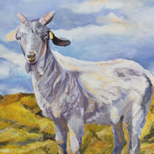 Γεωργία Μπλιάτσου: «Springtime Stories» στον Αστρολάβο-Δεξαμενή