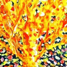 Η Κατερίνα Σταθάτου και Το δέντρο που ήθελε να γίνει ουράνιο τόξο