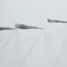 Home: My nest, my noose: Ομαδική έκθεση στη MISC