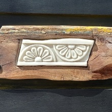 Aροδαμοί και ασπάλαθοι