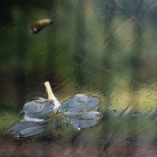 «Time does not exist»: Διατομική έκθεση φωτογραφίας Νινέτας Λογοθέτη και Πλούταρχου Χαλόφτη