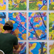 Γιώργος Πέφανης - Windows Within: Μια γιορτή της ομορφιάς που μας περιβάλλει