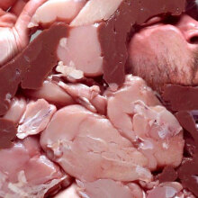 Francis Bacon Project | Scream of the Body στο θέατρο NOŪS – Creative Space