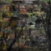 Έργο του Zhang Jian