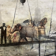 «Η φύση εντός των τειχών» στο Μουσείο Ηρακλειδών