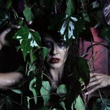 Η Κατσαρίδα Κ. του Μάριου Ιορδάνου