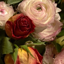 «Rude in the Good Way» - Φωτογραφική έκθεση του Roe Ethridge