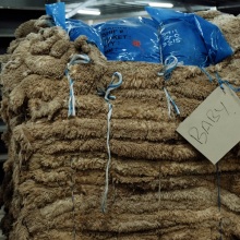 Δημόσιο Πρόγραμμα ΕΜΣΤ