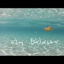 MIKRO - "Στη Θάλασσα"