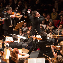 Θεόδωρος Κουρεντζής © Alexandra Muraviova