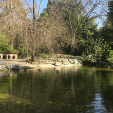 Canon PowerShot SX70 HS