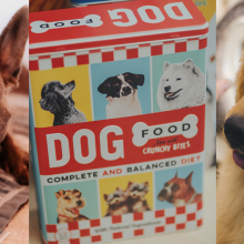 Αναρωτηθήκαμε τι γεύση και υφή έχουν οι σκυλοτροφές και τολμήσαμε να δοκιμάσουμε.