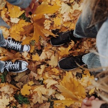 Κορίτσια στέκονται όρθια πάνω σε κιτρινισμένα, πεσμένα φύλλα δέντρων