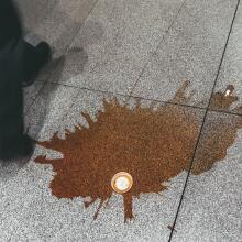 Jan Antonin Kolar / Unsplash