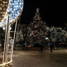 Το στολισμένο χριστουγεννιάτικο δέντρο στην πλατεία Συντάγματος