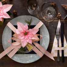 Πολύχρωμες συνθέσεις με Αλεξανδρινά