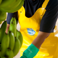 Η Chiquita επιτυγχάνει τους στόχους Βιώσιμης Ανάπτυξης του ΟΗΕ