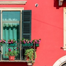 Λουλούδια σε παράθυρο.