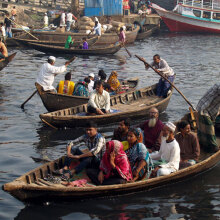 Μαρίβα Ζαχάρωφ, Το δέντρο και το ποτάμι