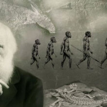 Η εξέλιξη της εξέλιξης: οι αντιλήψεις για τη ζωή μέσα στον χρόνο