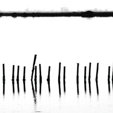 Μαρία Στέφωση, Μπάιρον + Μεσολόγγι