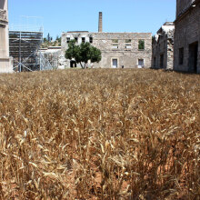 The artist on the composer