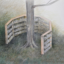 Libraries as Gardens: Libraries of Walks