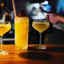 Ένας χρόνος Meerkat Cocktail Safari