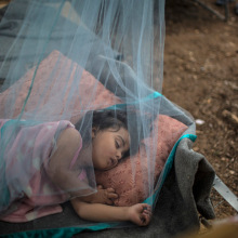 Muhammed Muheisen, Light on the Move