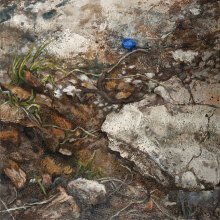 Τάνια Δρογώση, Ατάκτως ερριμμένα