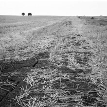 Μαρία Μπουρμπού, Επιφάνεια