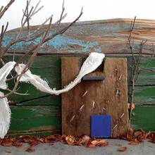 Αναστασία Καρβελά, Πίσω στη φύση, τη φύση μας