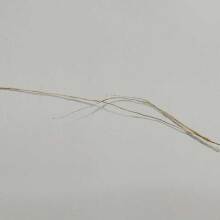 Παναγιώτης Κουλουράς, Σημειώσεις για την Κόρη