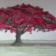 Αμαλία Σταυρουλάκη, Human trees