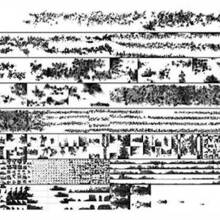 Dimitris Condos: Roman Pictural