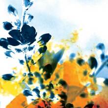 Η Ιεροτελεστία της άνοιξης