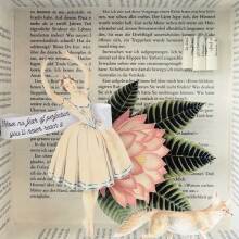 Τατιάνα Κοντούλη, Curiosité: a pleasant journey into the rarities of life