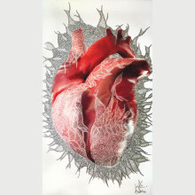 Αικατερίνη Κανακάκι, Reincarnation