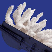 Κρατική Ορχήστρα Αθηνών - Ο Σκαλκώτας και οι σύγχρονοί του ΙΙΙ