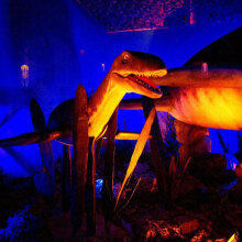 Δεινόσαυροι και τέρατα των θαλασσών 