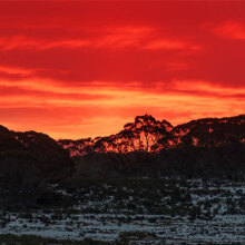 Platypus trail: Μελβούρνη - Πέρθ