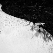 Inside OUT - Φωτογραφική Εγκατάσταση