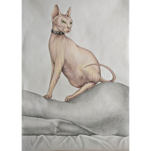 «Αrtists like Cats, Soldiers like Dogs» στην ArtZone 42 / Έφη Δούλια, «Επιτηδευμένη πόζα», μολύβι και ξυλομπογιά ακουαρέλας σε χαρτί