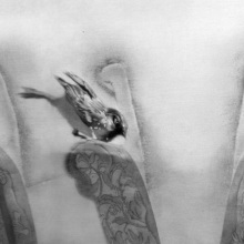 Στέλλα Παγώνη, Στο Σπίτι του Κέρβερου